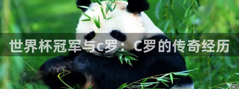 2026年世界杯赛程表时间：世界杯冠军与c罗：C罗的传奇经历