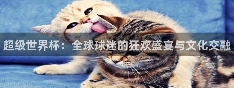 世界杯视频：超级世界杯：全球球迷的狂欢盛宴与文化交融