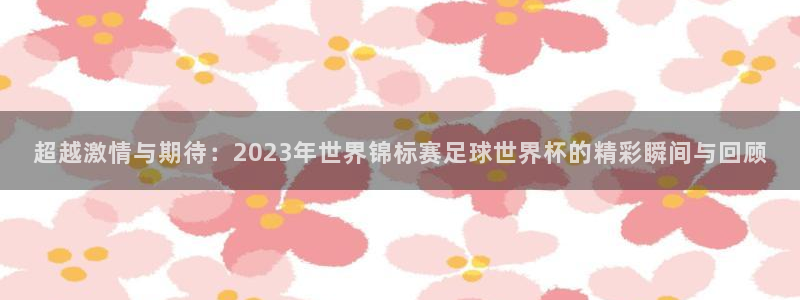 26世界杯：超越激情与期待：2023年世界锦标赛足球世界杯的精彩瞬间与回顾