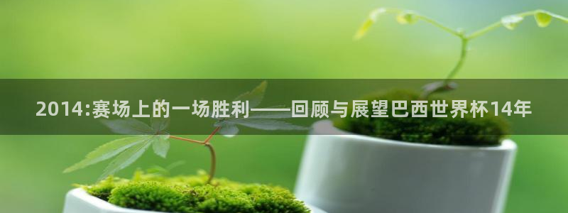 今天所有足球赛程表：2014:赛场上的一场胜利——回顾与展望巴西世界杯14年