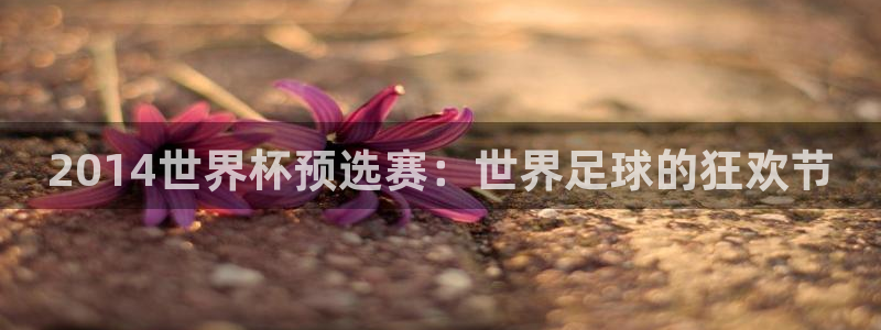 2026年世界杯时间表：2014世界杯预选赛：世界足球的狂欢节
