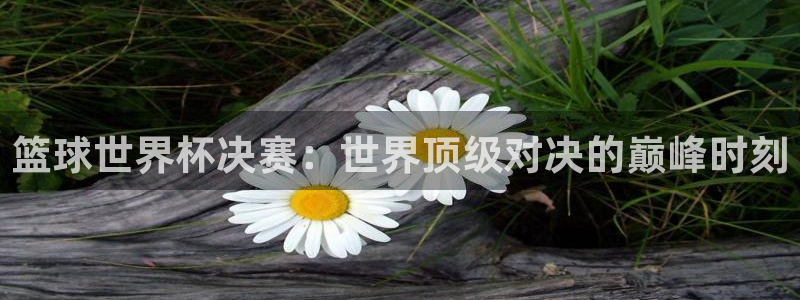 世界杯 直播：篮球世界杯决赛：世界顶级对决的巅峰时刻