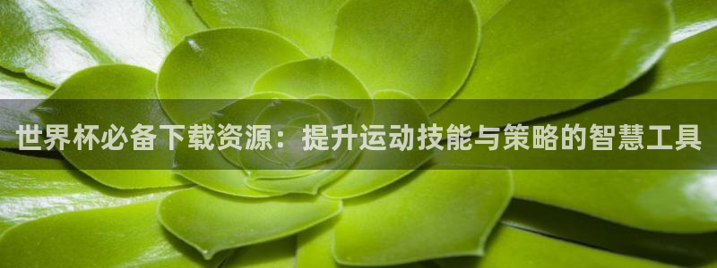 世俱杯直播：世界杯必备下载资源：提升运动技能与策略的智慧工具