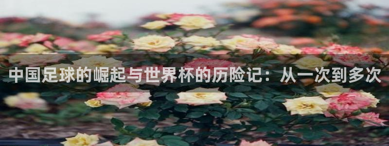 世预赛赛程表：中国足球的崛起与世界杯的历险记：从一次到多次