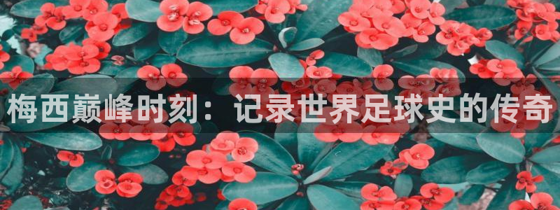 欧洲世界杯预选赛赛程：梅西巅峰时刻：记录世界足球史的传奇
