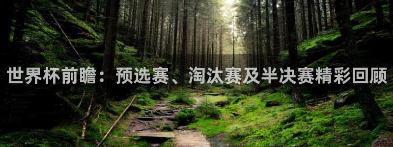 2026年世界杯赛程时间表格：世界杯前瞻：预选赛、淘汰赛及半决赛精彩回顾