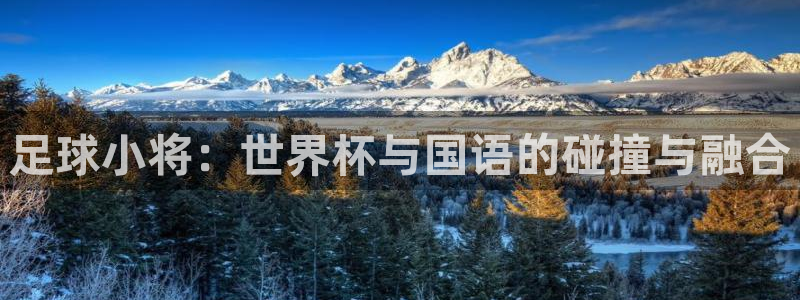 国际足联世界杯：足球小将：世界杯与国语的碰撞与融合